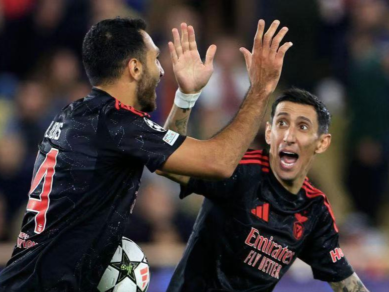 jiuyou官网入口-法国杯倒计时，本菲卡窗口期伤情更新，细节引发关注，震撼外界，临场指挥获称赞的简单介绍