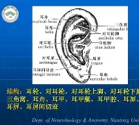 耳s遍Sf3?N傻W~}啼?哪